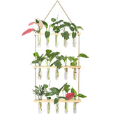 XXXFLOWER Wall Hanging Propagation Station with 15 test tubes