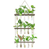 XXXFLOWER wall hanging propagation station with 5 glass test tubes