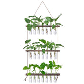 XXXFLOWER Wall Hanging Propagation Station wooden frame with test tubes
