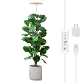 yadoker Grow Light for Indoor Plants, Bamboo color, full view