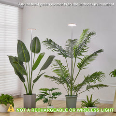 yadoker grow light showing adjustable height feature