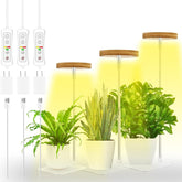 yadoker Halo Plant Grow Light front view with bamboo base
