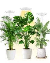 yadoker Plant Grow Light front view with adjustable height