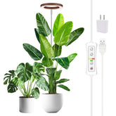 yadoker Plant Grow Light front view with walnut wood grain finish