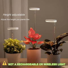 yadoker Plant Grow Light showcased in an indoor setting