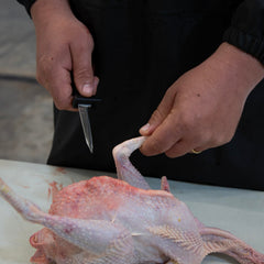 Yardbird Poultry Processing Knife displayed with packaging
