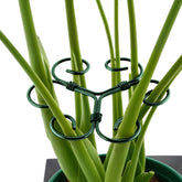 Yeomant 4PCS Green Iron Monstera Support Stakes front view