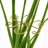 Yeomant 4PCS Iron Monstera Support Stakes in gold packaging