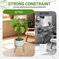 Yeomant 4PCS Iron Monstera Support Stakes set on a table