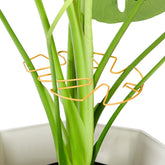 Yeomant 6PCS Iron Monstera Plant Support Stakes, front view