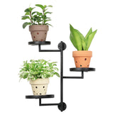 YFFSRJDJ Window Plant Shelf front view with three circular trays