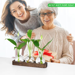 YIBOT Plant Propagation Station displayed on a coffee table