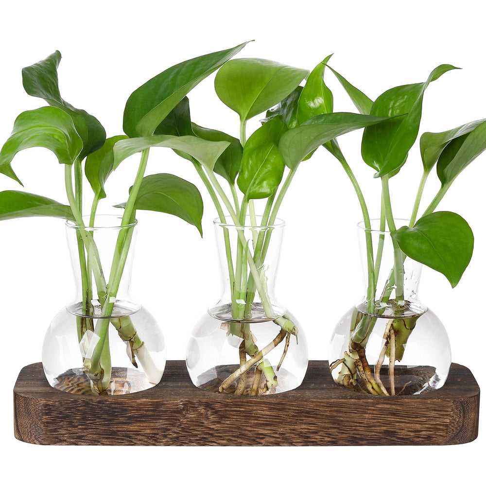 YIBOT Plant Propagation Station with three bulb vases on wooden tray