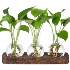 YIBOT Plant Propagation Station with three bulb vases on wooden tray