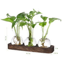 YIBOT wooden tray with three glass vases filled with water