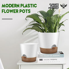 YNNICO 7.5-inch planter with saucer on a desk with plants
