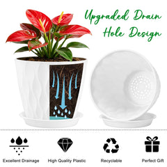 YNNICO 8 inch plant pots pack of 6 on display