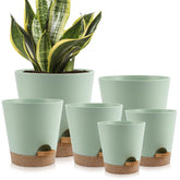 YNNICO Indoor Self Watering Planter 8 inch green