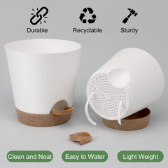 YNNICO Indoor Self Watering Planters 6.5 inch white pot showcasing self-watering feature