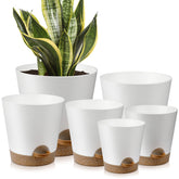 YNNICO Indoor Self Watering Planters 8 inch white pot with drainage holes