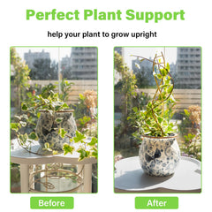 Yohsnor DNA Plant Trellis installed in a potted plant