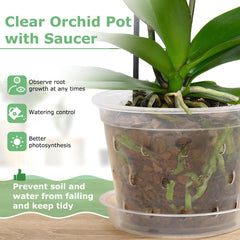 YOPIKUU orchid pots displayed on a windowsill