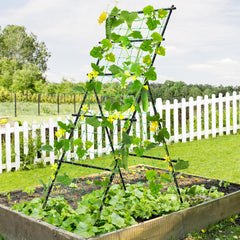 yotoworth A-Frame Cucumber Trellis side view in black