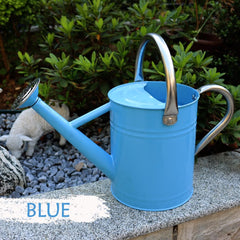 yourjoy Metal Watering Can 1 Gallon Blue with removable spout