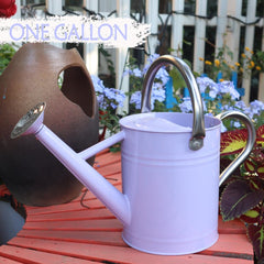 yourjoy Metal Watering Can 1 Gallon purple side view