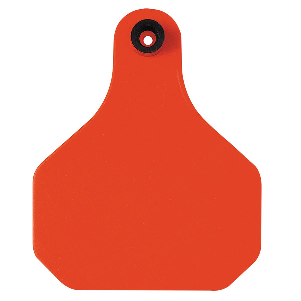 YTEX Insecticide Tag 25 Count in orange packaging front view