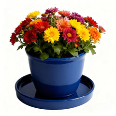 Yukfona blue ceramic plant saucer next to a flower pot