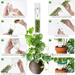 Zalovvi Moss Pole kit including fertilizer boxes and ties