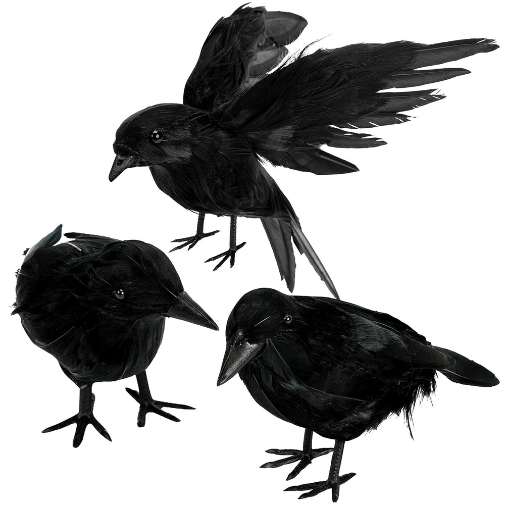 ZAUGONTW Halloween Crow – black feathered crow standing