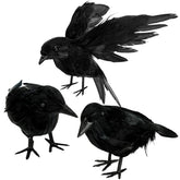 ZAUGONTW Halloween Crow – black feathered crow standing