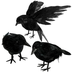 ZAUGONTW Halloween Crow – black feathered crow standing