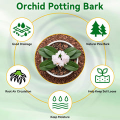 ZeeDix Orchid Bark in a pot with orchids