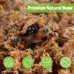ZeeDix Sphagnum Moss in a terrarium setup