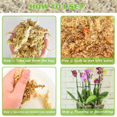 ZeeDix Sphagnum Moss used with orchids