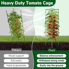 ZeeDix Tomato Cages set up in a garden with climbing plants