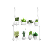 ZerzSemp 2-Tier Hanging Clear Plant Shelves front view