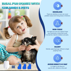 ZEVQI POWER Flying Insect Trap with refill cartridges