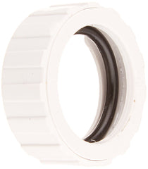 Zodiac Hose Nut 9-100-3109 silver metal front view