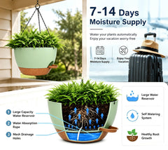 zople hanging planter showing self-watering reservoir feature