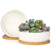 ZOUTOG 6-inch ceramic succulent pot with bamboo tray front view
