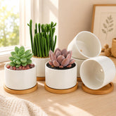 ZOUTOG 6 pack 3.6-inch white ceramic succulent pots with bamboo trays