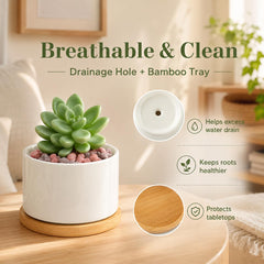 ZOUTOG succulent pot on a desk with small succulent plant