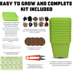 10 herb seeds included in Meekear garden kit