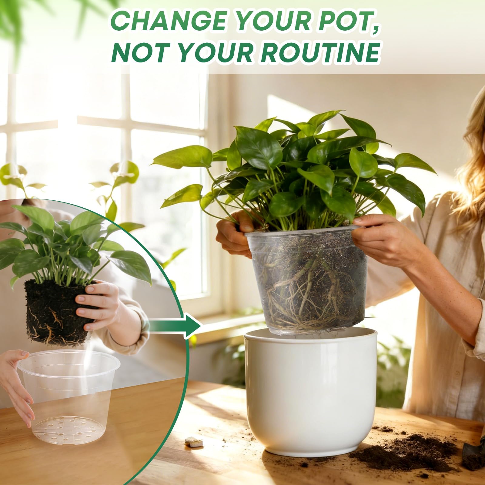 10 inch clear nursery pot from WTXHOP