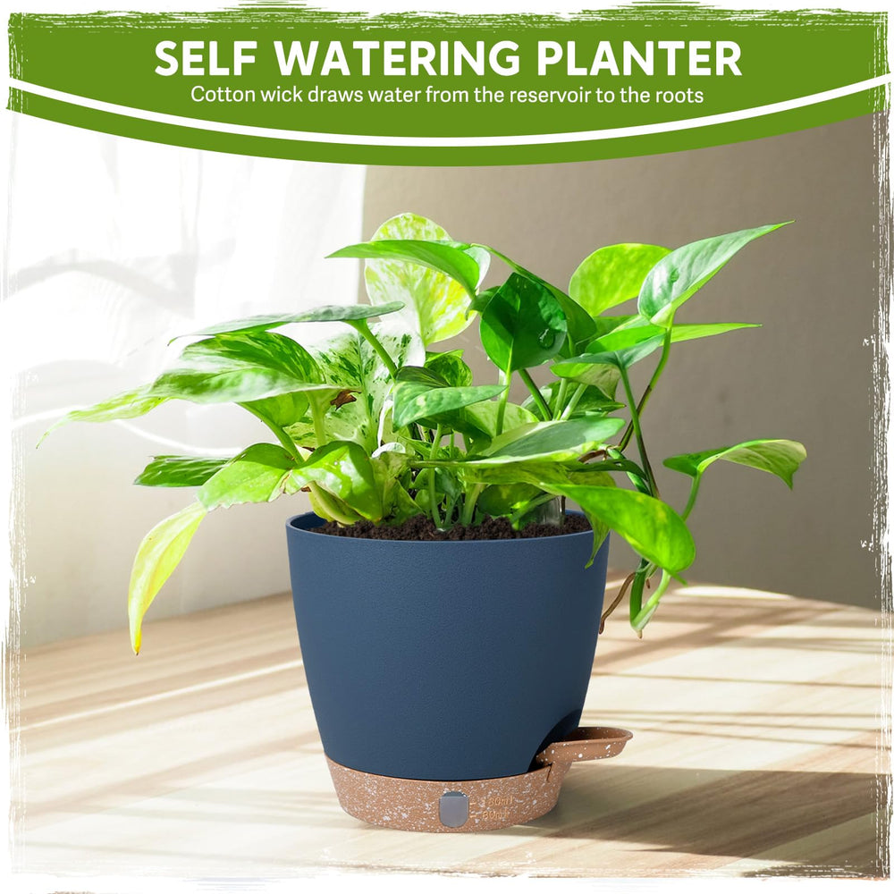 10-inch Goproauto pot for large indoor plants