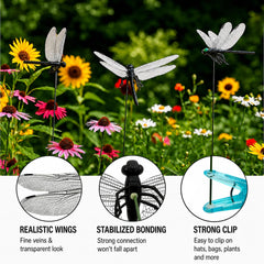 10 PCS Black Dragonfly Clips in packaging
